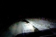 Волинські єгері затримали любителів незаконних трофеїв