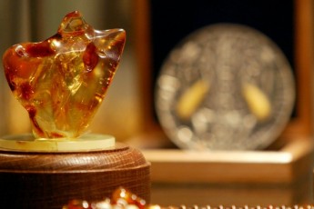 У Рівному поцупили камінь бурштину віком у десятки мільйонів років. ВІДЕО