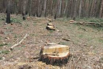 Волинянин «спалився» на браконьєрстві
