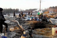Керівник СБУ «кришував» незаконний видобуток бурштину