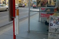 Лучани просять владу подбати про урни в місті