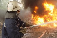 У Луцькому зоопарку була пожежа