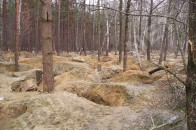 Як на Волині під час свят охороняють бурштинові копальні