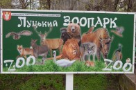Новорічне святкування у луцькому зоопарку закінчилося пожежею. ПОДРОБИЦІ
