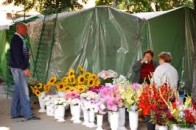 Луцькі квітникарі відстояли свій ринок