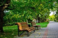 В Луцьку займуться облаштуванням парків