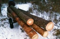 На Волині незаконно рубають ліс