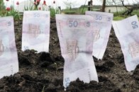Волинський підприємець завдав збитків бюджету на 12 тисяч гривень