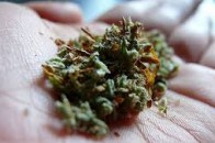 У центрі Луцька поліцейські вилучили півкілограма наркотиків