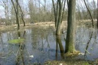 Чиновники обіцяють, що у парку Луцька більше не буде підтоплень