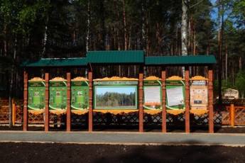Лісомисливська галузь Волині передала бійцям 4 автівки