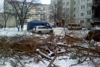 Чому у Луцьку не прибирають обрізане гілля дерев? ФОТО