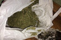 Біля Луцька у теплиці вирощували коноплі. ФОТО