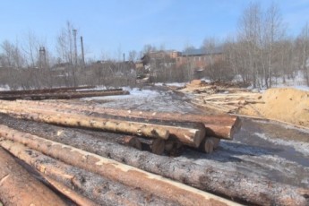 Гунчика просять розібратися з заблокованою деревиною на Маневиччині