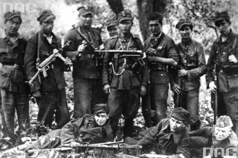Війна у війні: кому було вигідно? Кривава карта Волині
