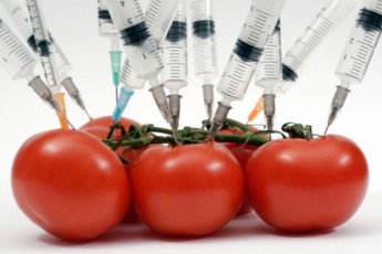 У волинських магазинах продають продукти з генами медузи