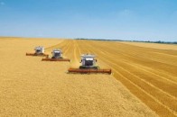 На Волині збільшать орендну плату на сільськогосподарські угіддя?