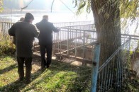 У районі на Волині створюють «Дорожню карту» для водних об’єктів