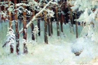Волинські бійці проходять реабілітацію в лісі