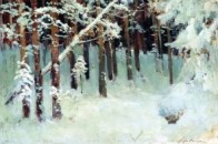 Волинські бійці проходять реабілітацію в лісі