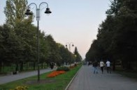 У Центральному парку Луцька пропонують зробити автопарковку майже на 400 місць