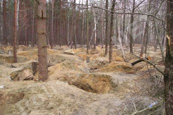 На бурштинові копальні Волині «зженуть» силовиків з усієї України