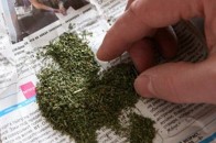 Митники вилучили на «Ягодині» наркотики