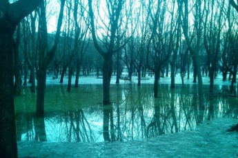 Відлига перетворила луцький парк на «Венецію». ФОТО