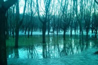 Відлига перетворила луцький парк на «Венецію». ФОТО