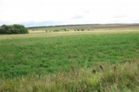 Бійці АТО масово просять на Волині землю