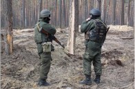 Охороняти волинські ліси від бурштинокопачів буде близько 1000 людей