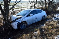 Біля Луцька через «Lexus» елітна автівка влетіла в дерево. ФОТО