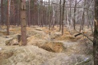 На Маневиччині зупинили навалу 1 000 бурштинокопачів з Рівненщини