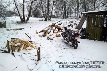 За березові колоди волинянин може поплатитись волею. ФОТО
