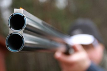 ЗМІ: В одному з лісництв Волині - «шабаш» лісівників-браконьєрів