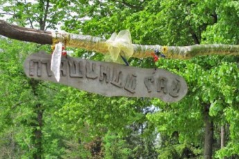 В Луцьку ліквідують заказник «Пташиний гай»?