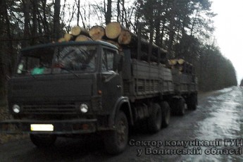 Поблизу Луцька затримали вантажівку з лісом без документів
