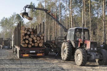 Будівництво лісових доріг на Волині: поліція шукає, де зникли сотні тисяч доларів