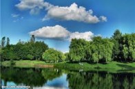 У Луцьку пропонують заборонити розведення багать у парку