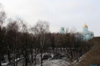 Деталі скандального виділення землі під будівництво сину мера з Волині