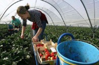 Заробітчанські «інвестиції» в Україну перевершили міжнародні