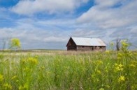 На Волині спекулюють на землі для АТОшників?