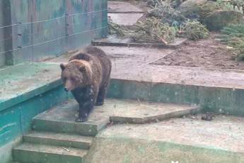 У Луцькому зоопарку підвищить ціни на квитки