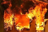 У Волновасі на центральному ринку сталася масштабна пожежа