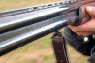 Волинські лісівники затримали трьох озброєних чоловіків