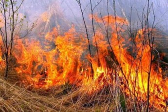 Невідомі влаштували пожежу у волинському заказнику
