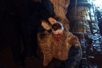 У Луцьку автівка збила п'яну жінку-пішохода. ФОТО