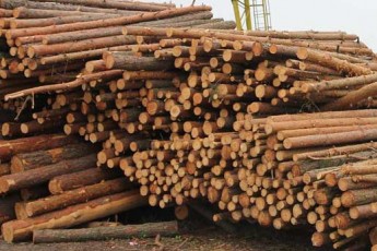 Тил допомагає фронту: як волинські лісівники підтримують бійців АТО. ФОТО