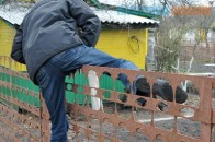 Поблизу Луцька затримали «дачних злодіїв»