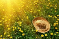 Лучан просять не виходити на вулицю
